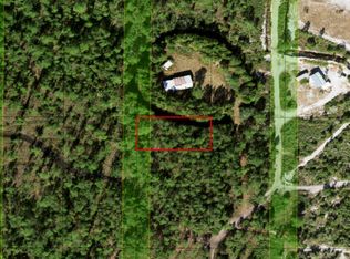 0 Holopaw Groves Rd, Saint Cloud, FL 34772