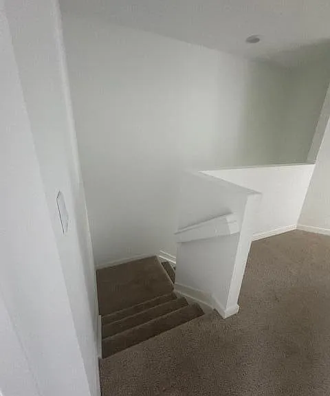 4844 Dillion St — Photo 7
