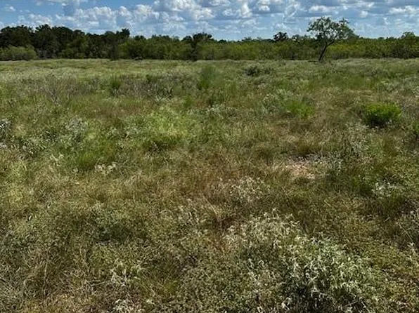 1 County Road 420, Waelder, TX 78959