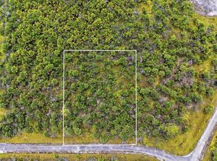 2806 Flameflower Ter SW Lot 20, Palm Bay, FL 32908