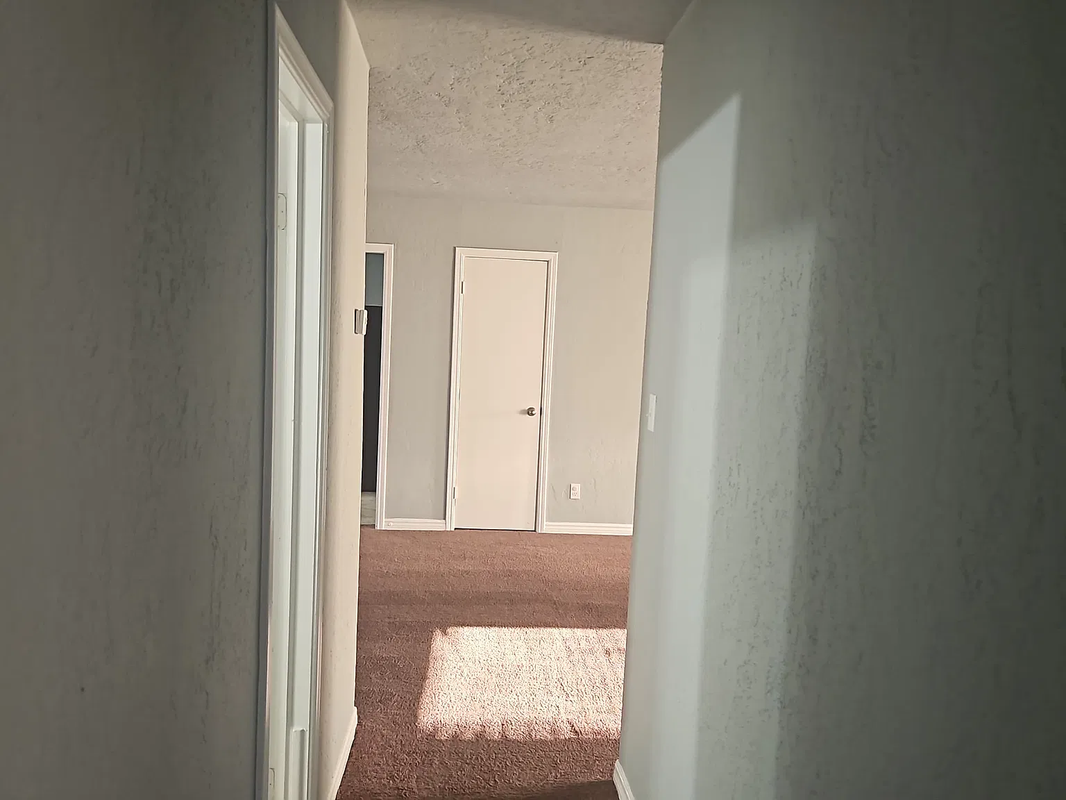 3 bed, 1300 sqft, $1,350 — Photo 3