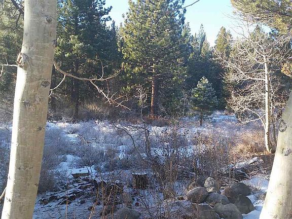 3rd image of 547 Majestic Pines Dr