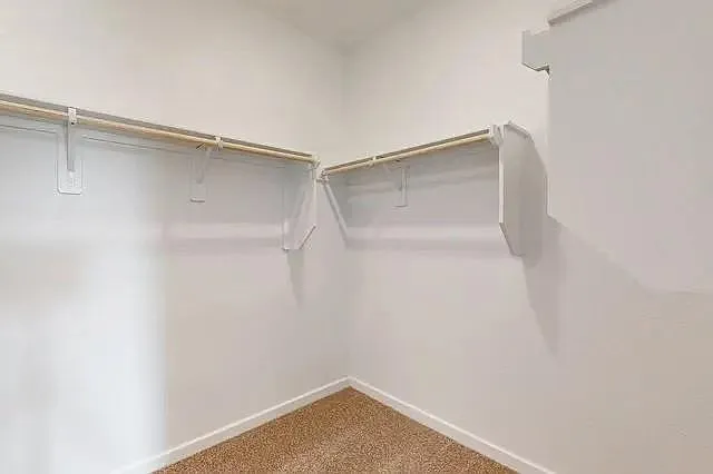 21611 Shadowbrook Birch Dr — Photo 25