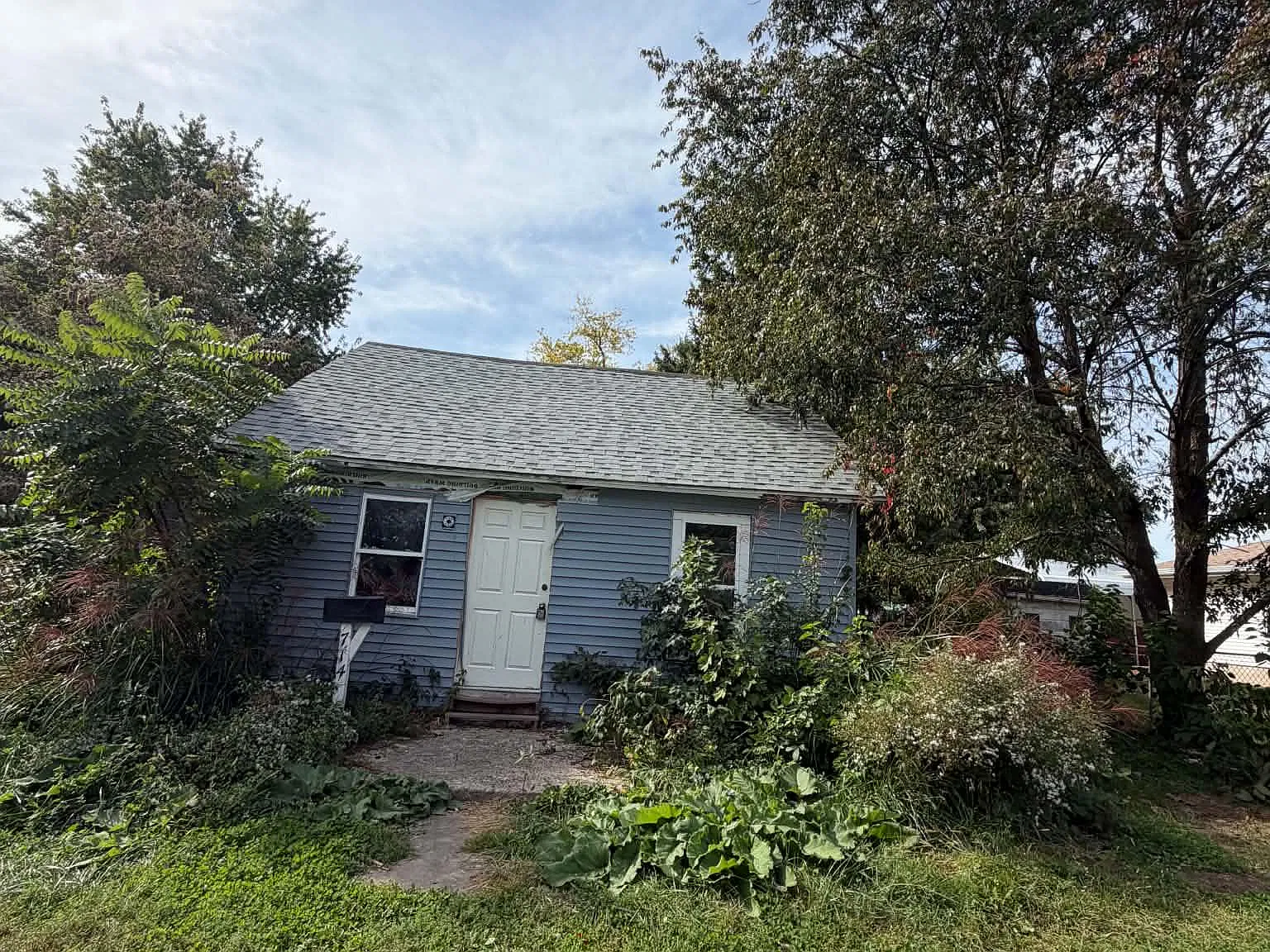 2 bed, $800 — Photo 2