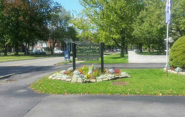 Chestnut Ridge — Photo 16
