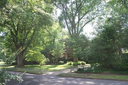 House nestles under Shady Trees