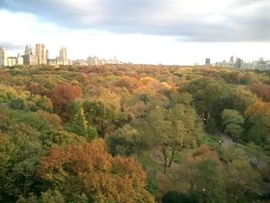 Rented by Douglas Elliman | media 15