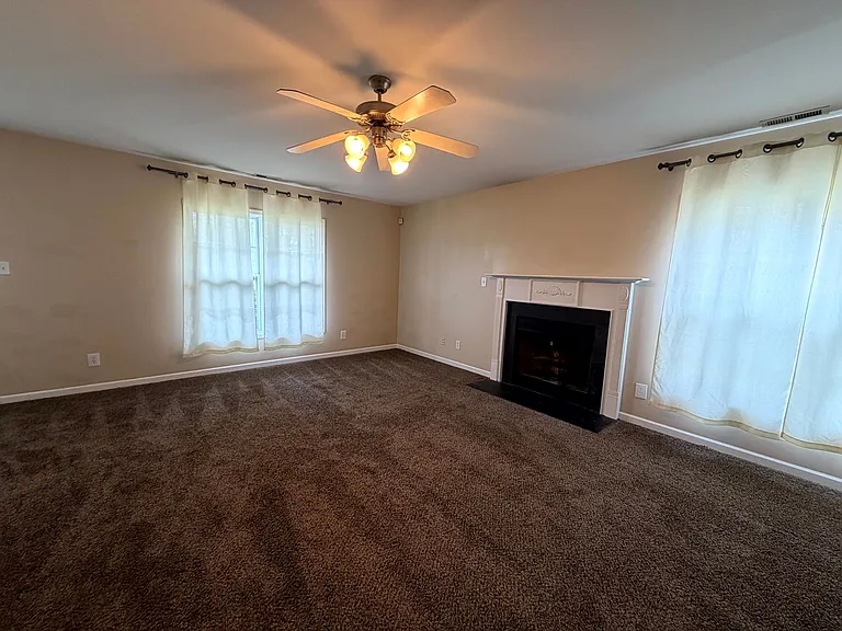 2449 Gray Goose Loop — Photo 4