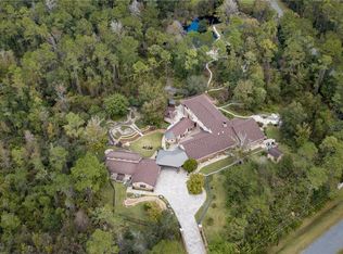 31147 Whispering Pine Ct, Sorrento, FL 32776