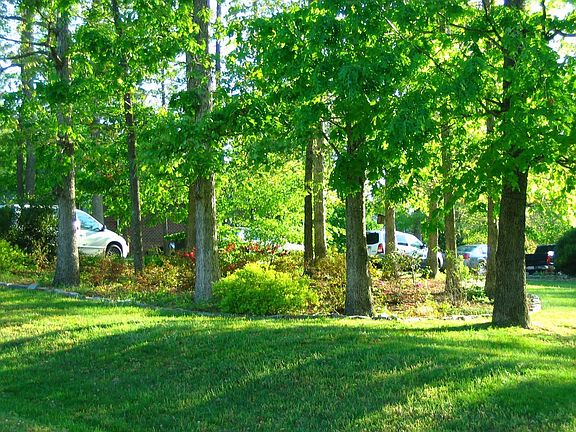 Beautiful wooded lot with lush landscaping
