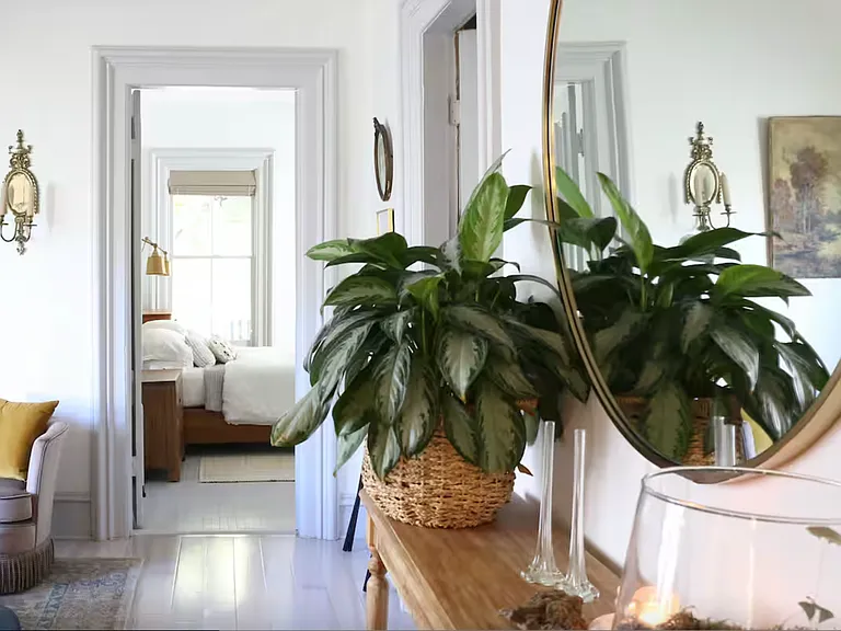 213 Park PL — Photo 29