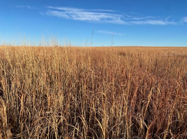 County Road 8, Coolidge, KS 67836