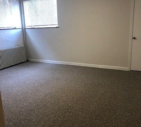 Corner unit, new carpet and ceiling fan.