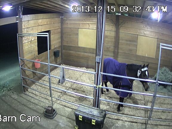 View from Barn Security Cam