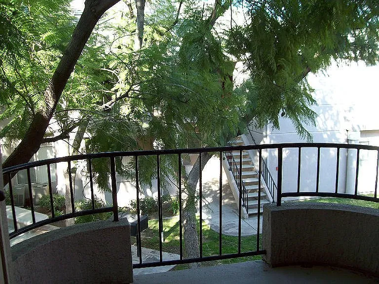 Alcantara Home Apts — Photo 22