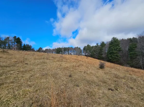 507 Junior Rd, Woodlawn, VA 24381