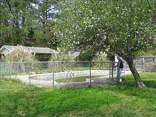 3rd image of 2694 Pineview Dr