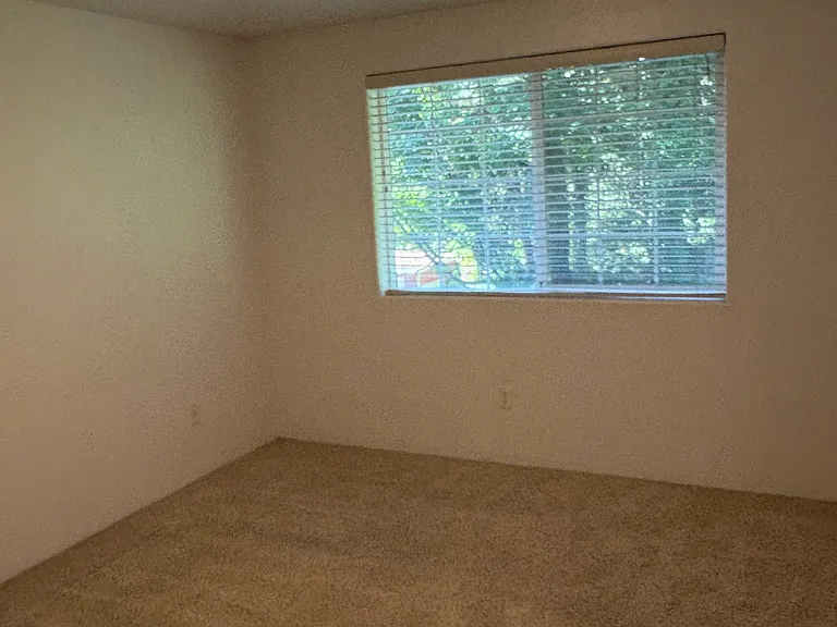 701 Birch St #3 — Photo 17