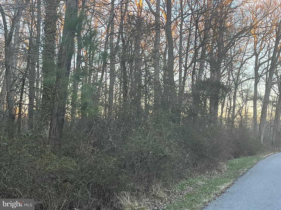 2nd image of Golupski Rd