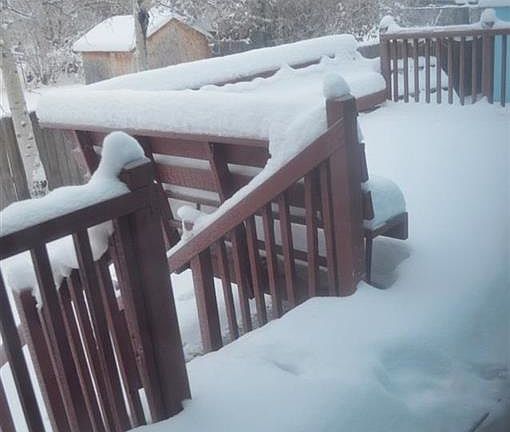 2nd image of 1224 Wild Rose Ave