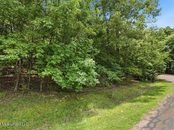 0 Dover Ln, Madison, MS 39110