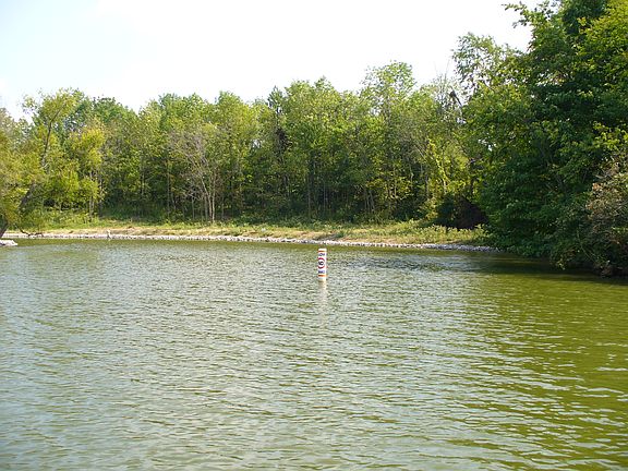 2nd image of 1347 Greenfield Dr