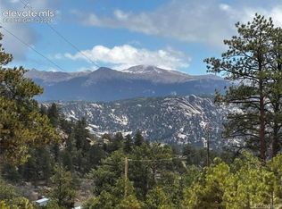 210 Crescent Dr, Florissant, CO 80816