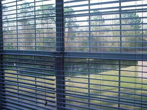 Beautiful relaxing view of the pond from the livinig room