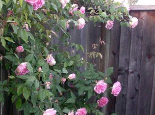 2523 Nedson Ct, Mountain View, CA 94043