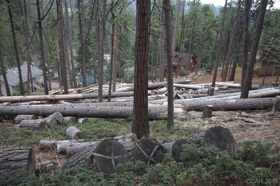 175 Moran Rd photo 1