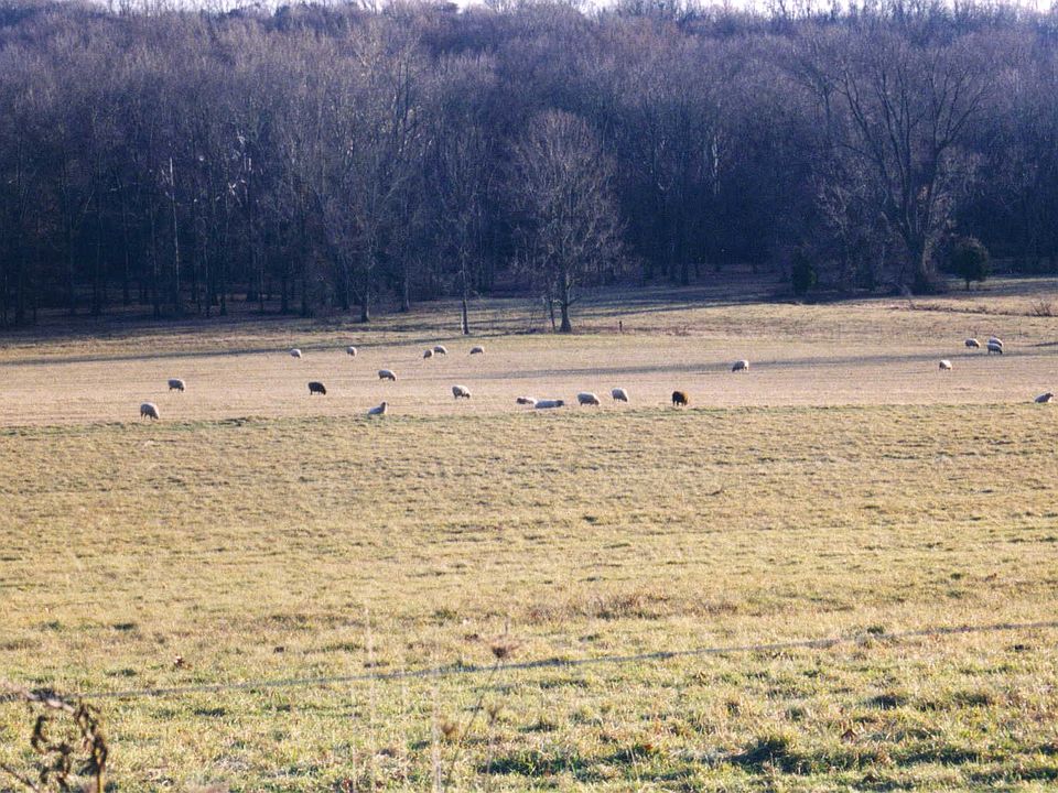 2nd image of 1375 Pebble Hill Road #Lot 1