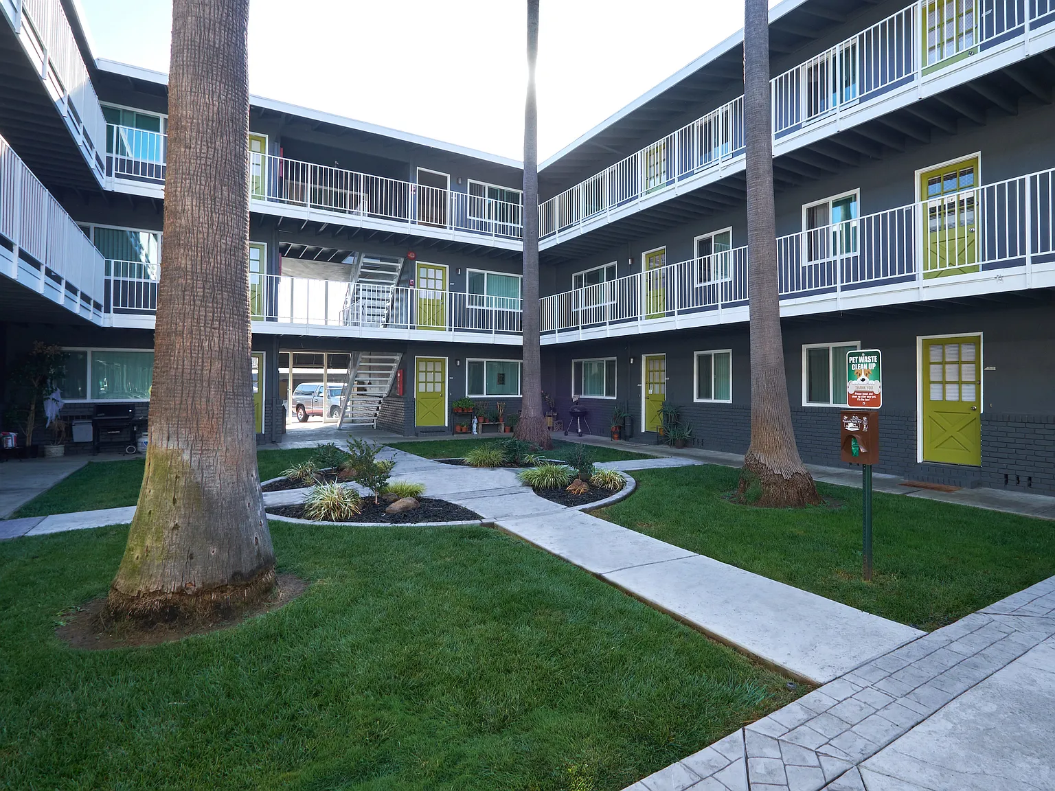 Palms at the Pruneyard — Photo 1
