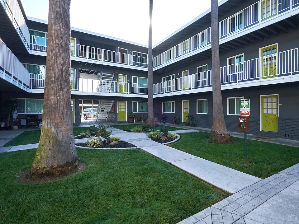 Palms at the Pruneyard