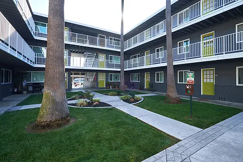 Palms at the Pruneyard Photo 1