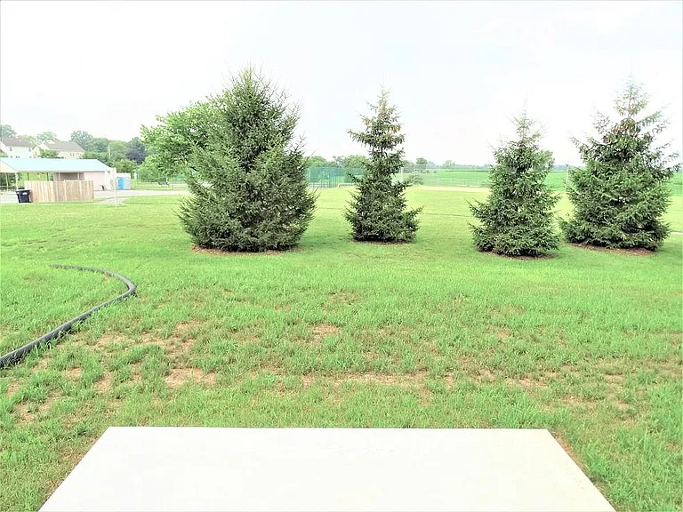 Patio & View