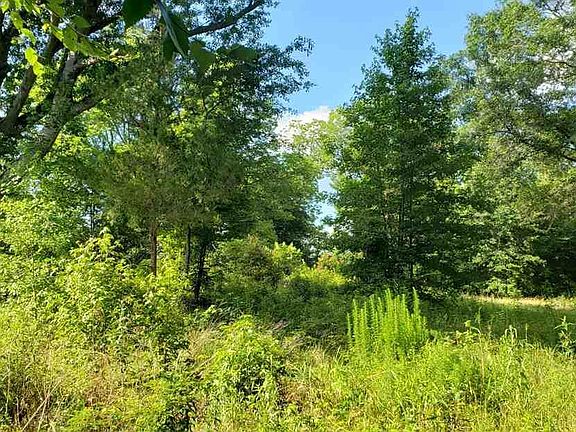 2nd image of County Road 2339