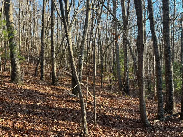 (undisclosed Address), Hayesville, NC 28904