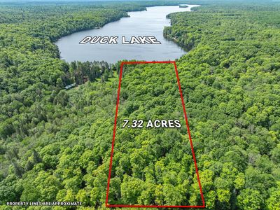 N Duck Lake Rd, Watersmeet, MI, 49969