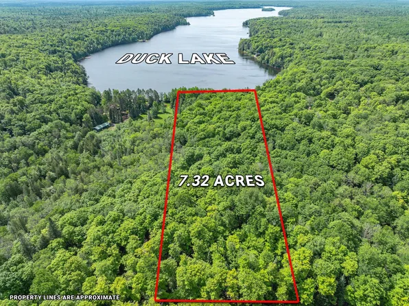 N Duck Lake Rd, Watersmeet, MI 49969