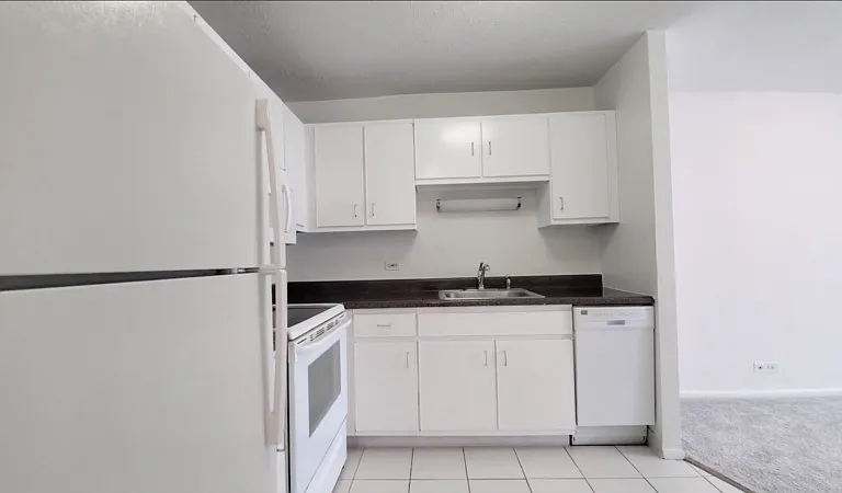 60 E Scott St #650 — Photo 3