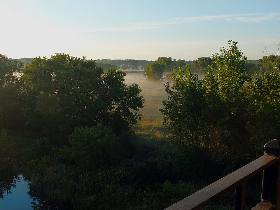 View From Porch, Trees