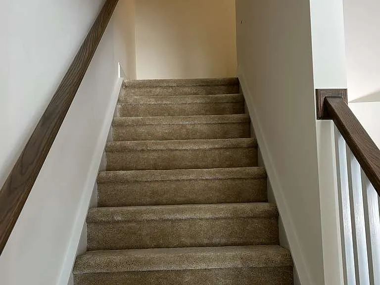 54 Amaryllis Ln — Photo 15
