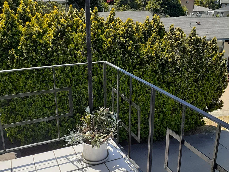 7858 Flight Ave #7/8 — Photo 19