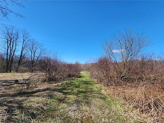 4th image of 0 Lehigh Rd Lot 36