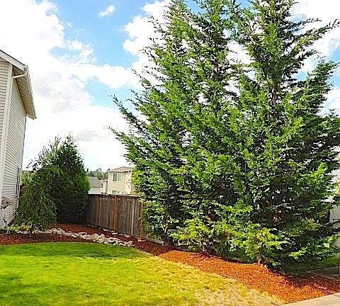 Mature landscaping
