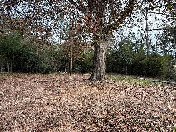 2nd image of 205 Knoxville Rd