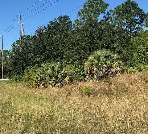 3rd image of 3113 Sunshine Blvd