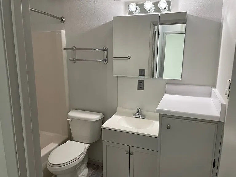 315 Chestnut St — Photo 9