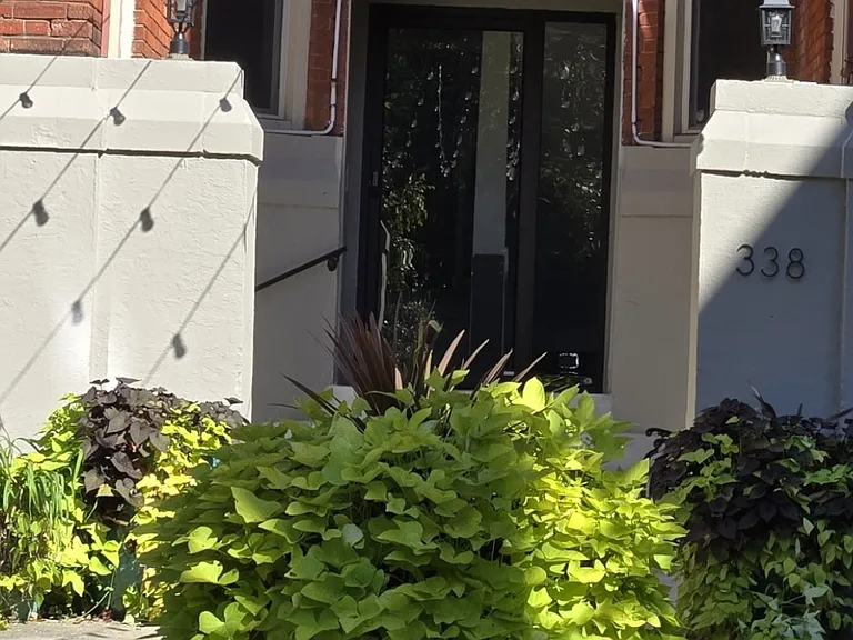 334 Forest Ave #A1 — Photo 18
