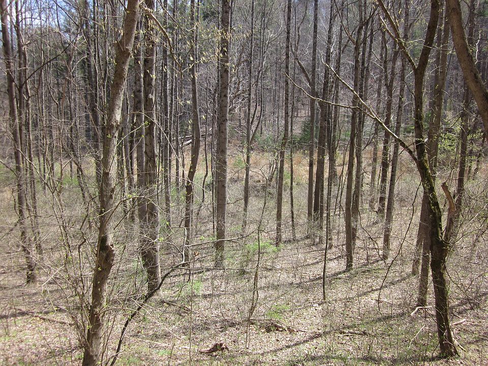 4 Bethlehem Rd, Boones Mill, VA 24065 Zillow